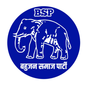 BSP Logo